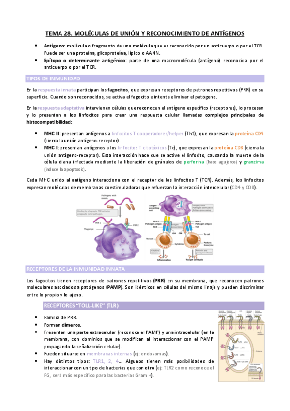 Miniatura del documento TEMA-28.pdf