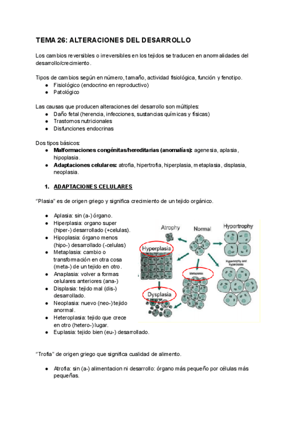 Miniatura del documento APG-BERNARDINO-ENTERO.pdf