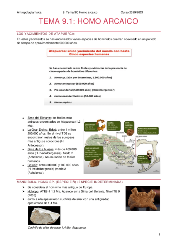 Miniatura del documento Tema-9.pdf