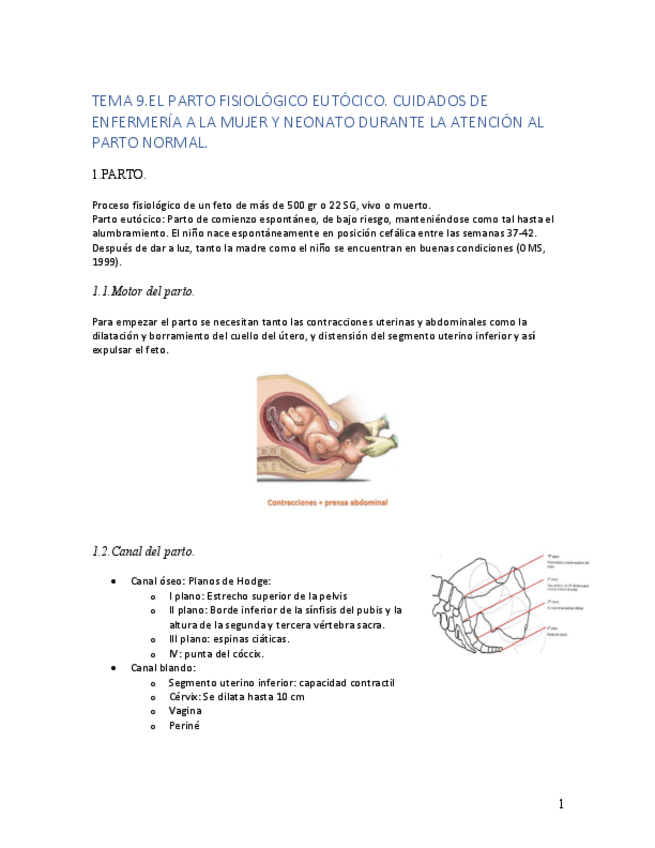 Miniatura del documento 9.pdf