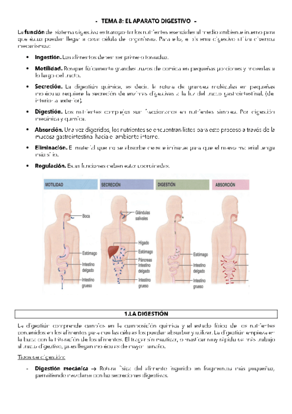 Miniatura del documento TEMA-8.pdf