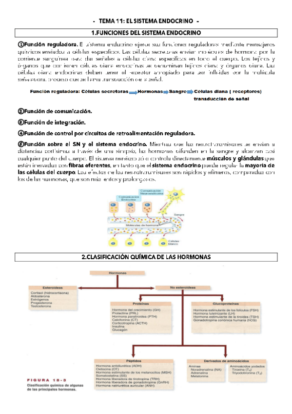 Miniatura del documento TEMA-11.pdf