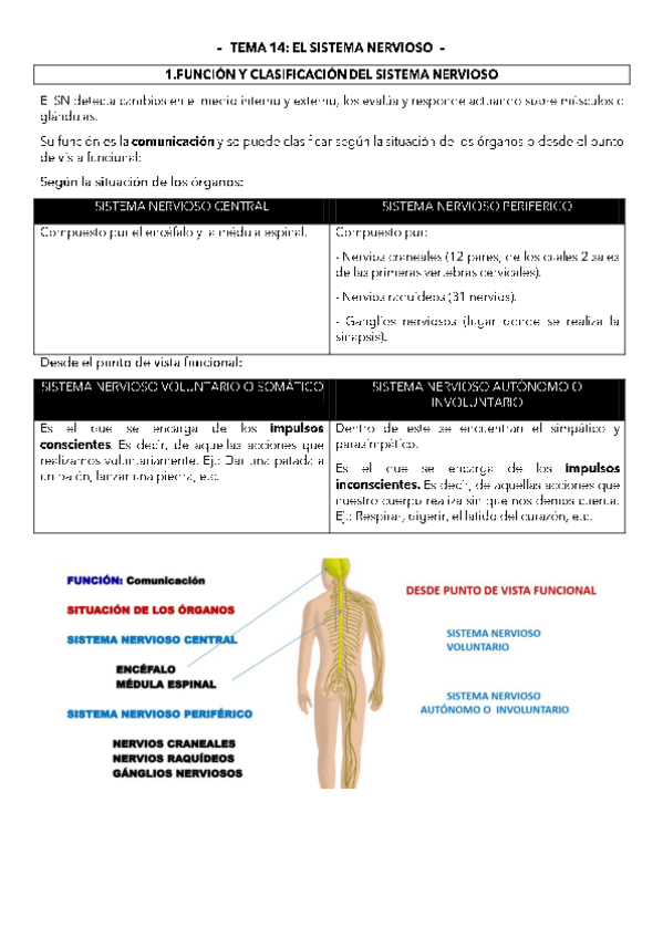 Miniatura del documento TEMA-14.pdf