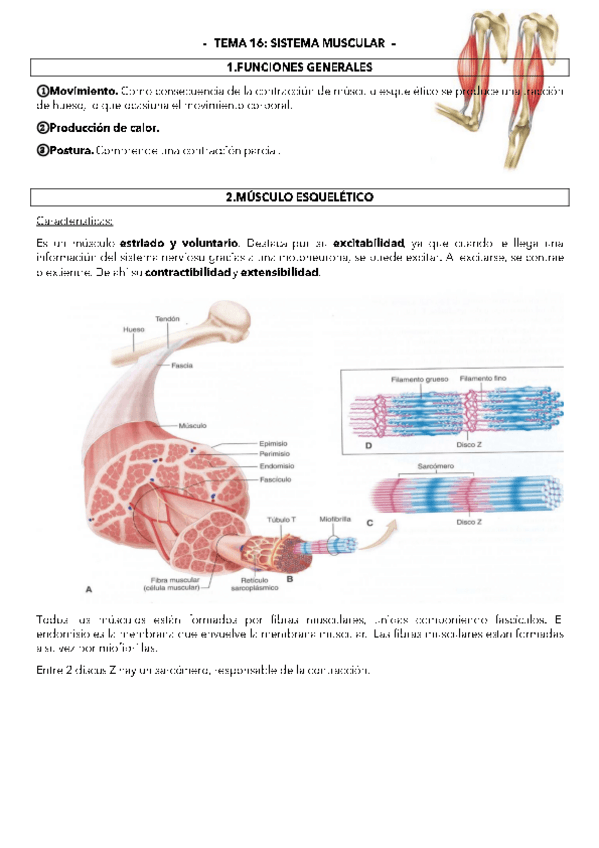 Miniatura del documento TEMA-16.pdf