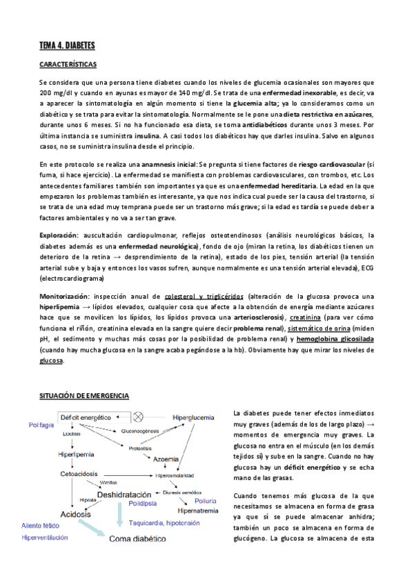 Miniatura del documento DIABETES.pdf