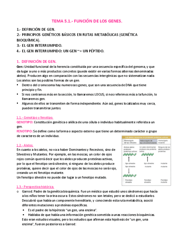 Miniatura del documento TEMA-5.pdf