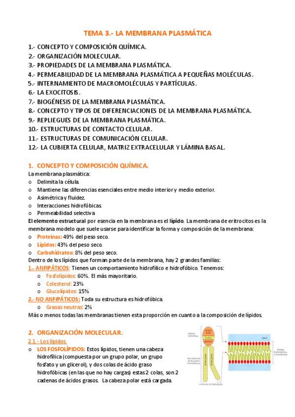 Miniatura del documento APUNTES-T.pdf