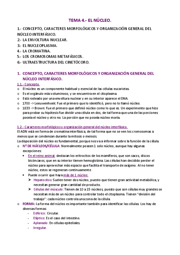 Miniatura del documento APUNTES-T.pdf