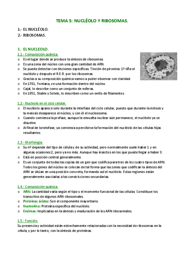 Miniatura del documento APUNTES-T.pdf
