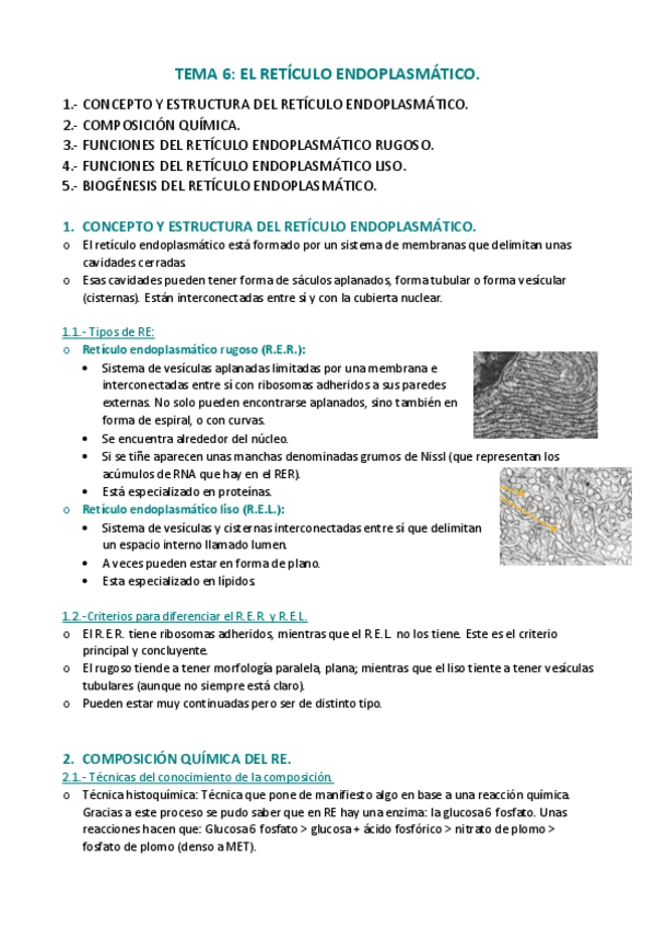 Miniatura del documento APUNTES-T.pdf