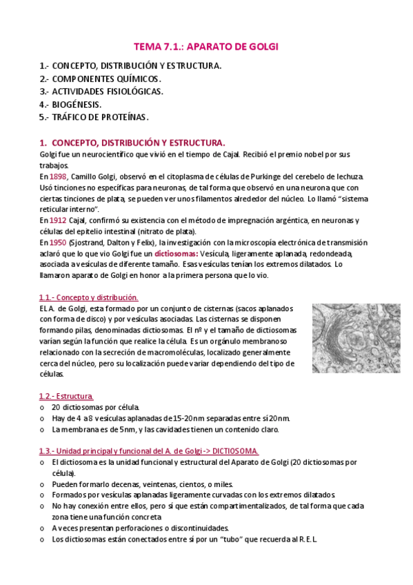 Miniatura del documento APUNTES-T.pdf