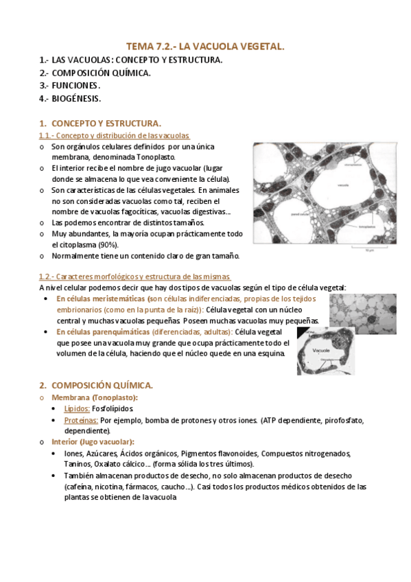 Miniatura del documento TEMA-7.pdf