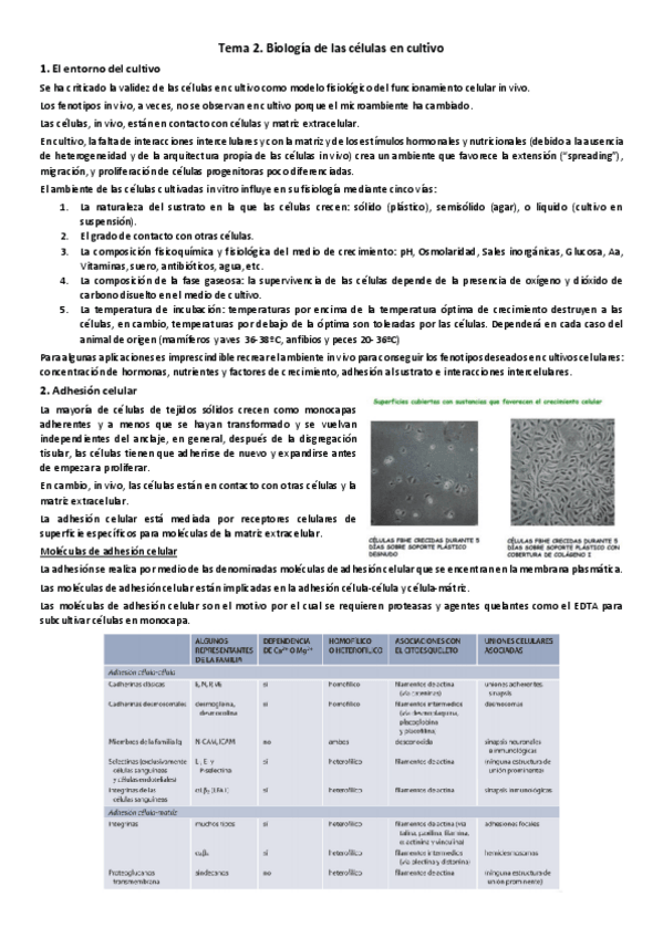 Miniatura del documento Biologia-de-las-celulas-en-cultivo.pdf