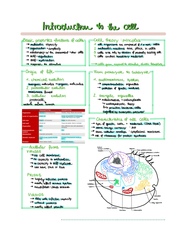 Miniatura del documento 1-Introduction-to-the-cell.pdf