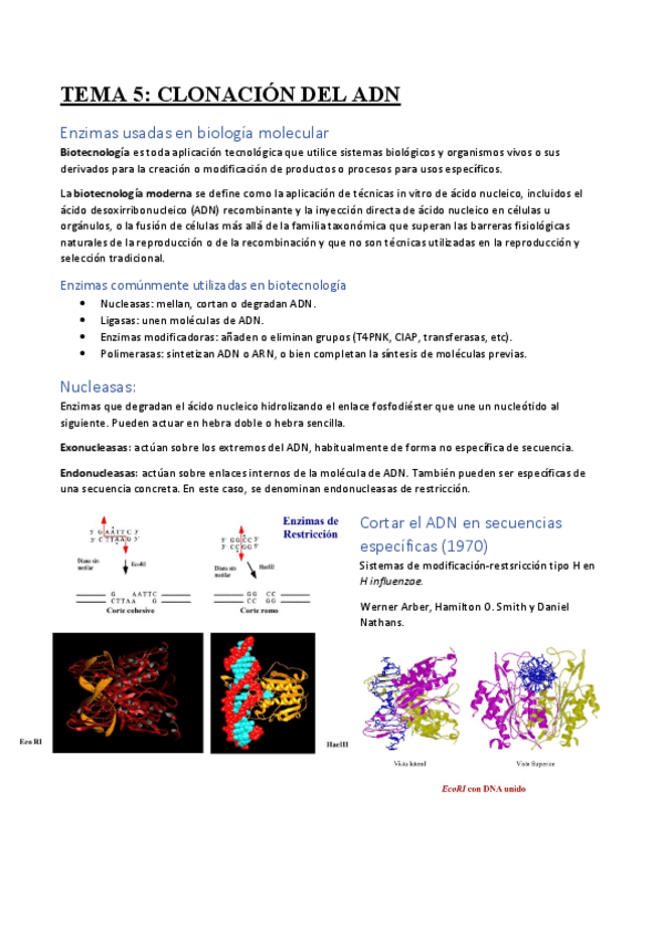 Miniatura del documento tema-5.pdf