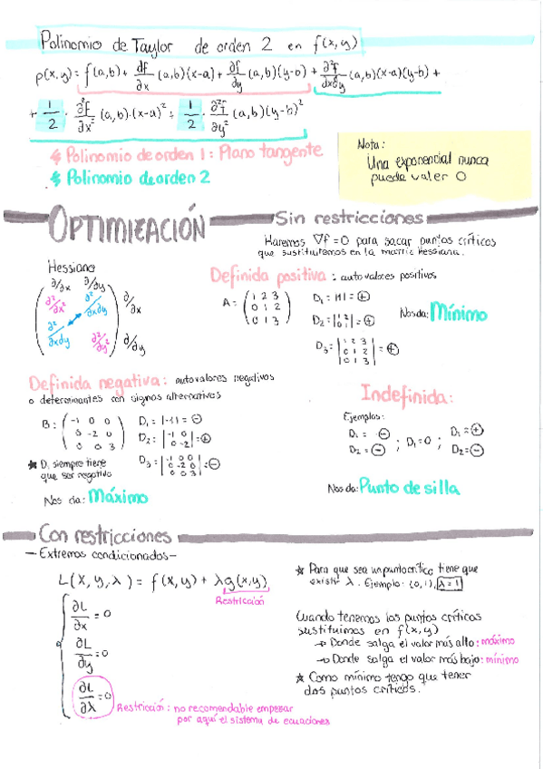 Miniatura del documento Optimizacion-y-teoria-de-campos-Matematicas.pdf