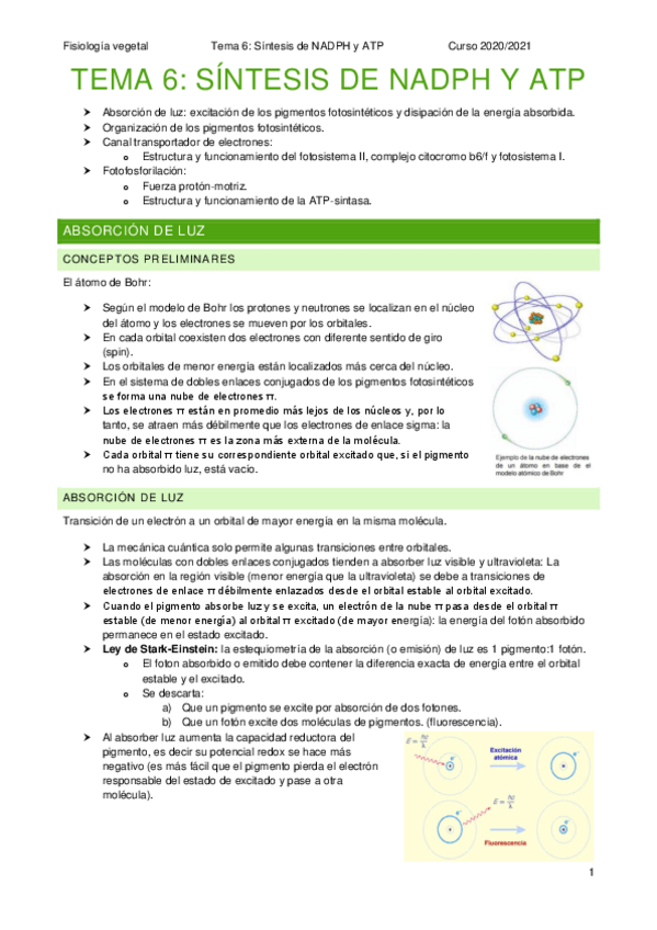 Miniatura del documento FV-T6.pdf