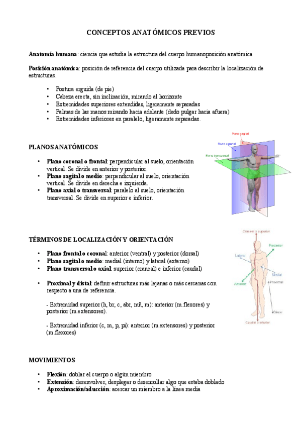 Miniatura del documento Espalda-.pdf