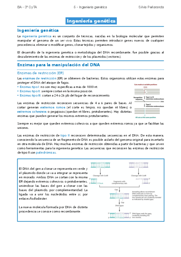 Miniatura del documento 5-Ingenieria-genetica.pdf