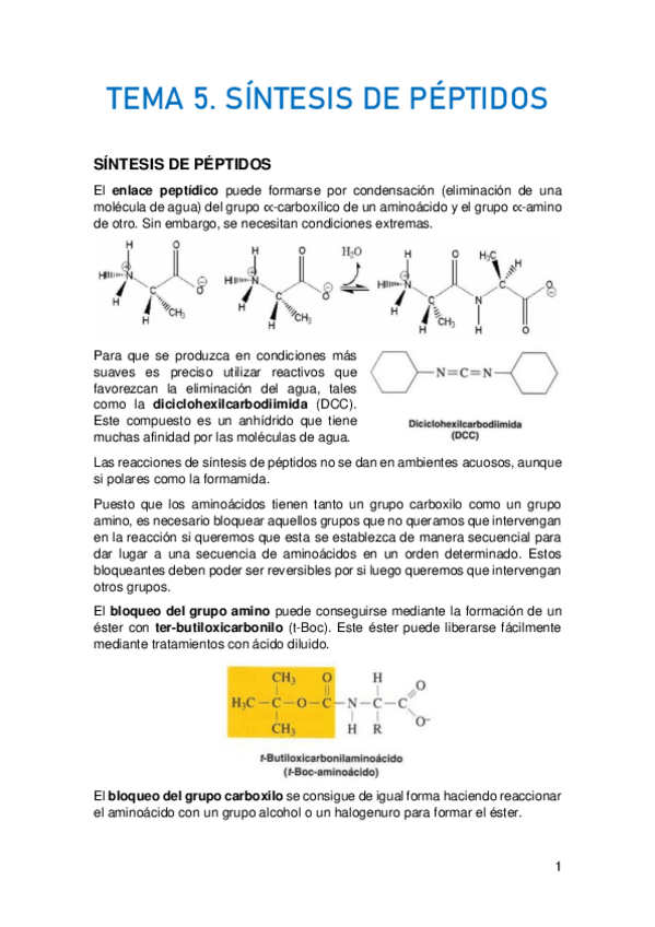 Miniatura del documento TEMA-5.pdf