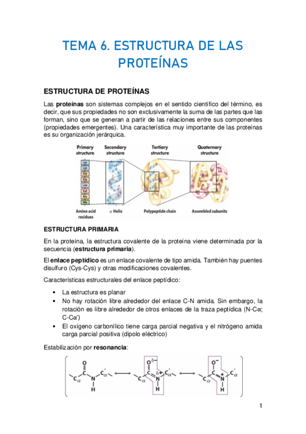 Miniatura del documento TEMA-6.pdf