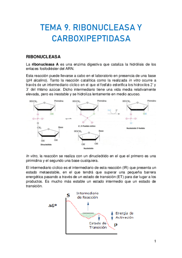 Miniatura del documento TEMA-9.pdf