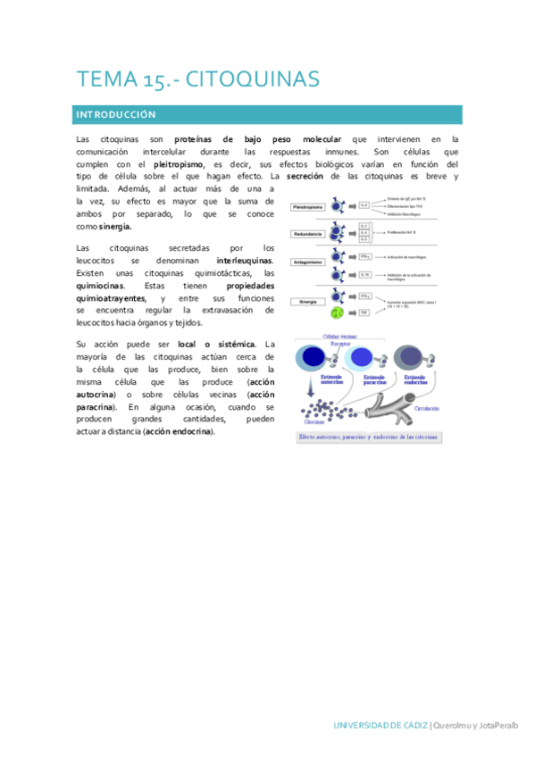 Miniatura del documento Tema-15.pdf