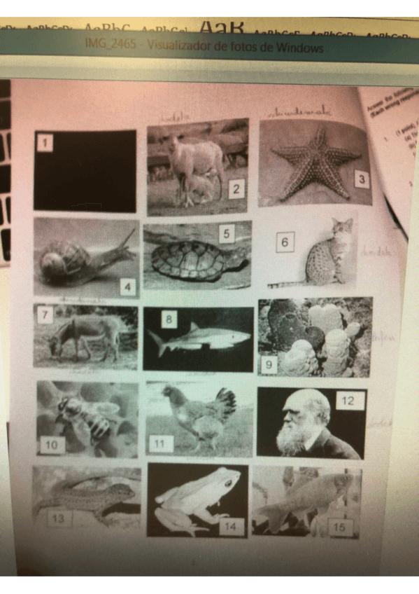 Miniatura del documento EXAMEN-ZOOLOGIA.pdf