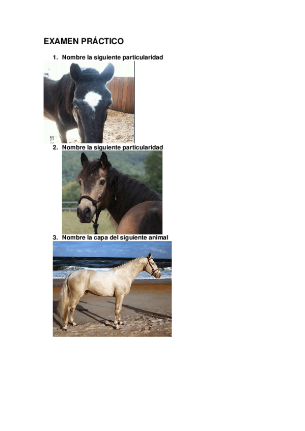 Miniatura del documento EXAMEN-PRACTICO-etnologia.docx