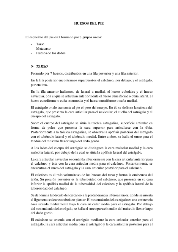 Miniatura del documento huesos-pie.pdf