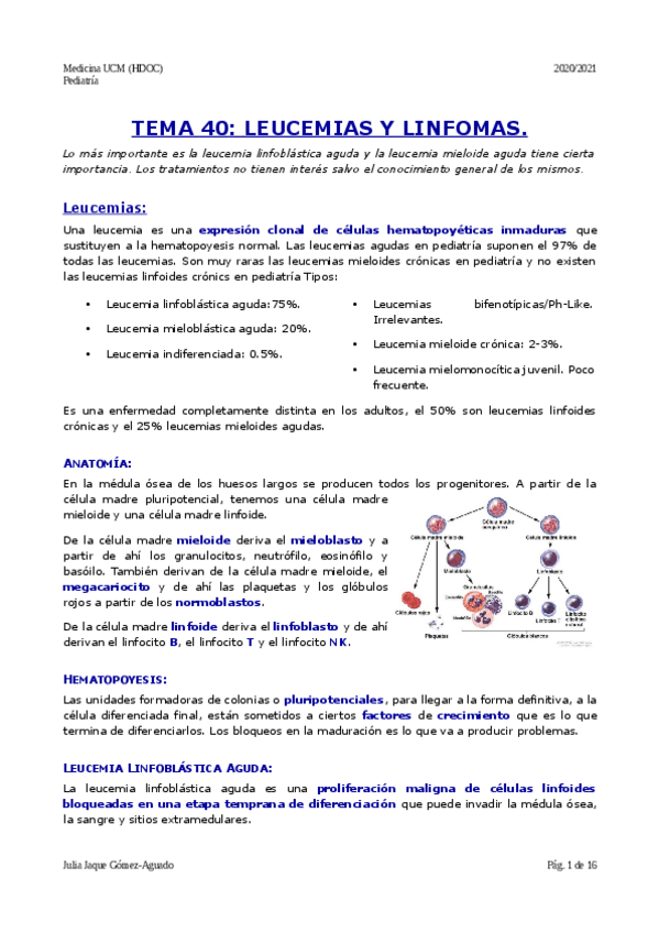 Miniatura del documento Tema-40.pdf