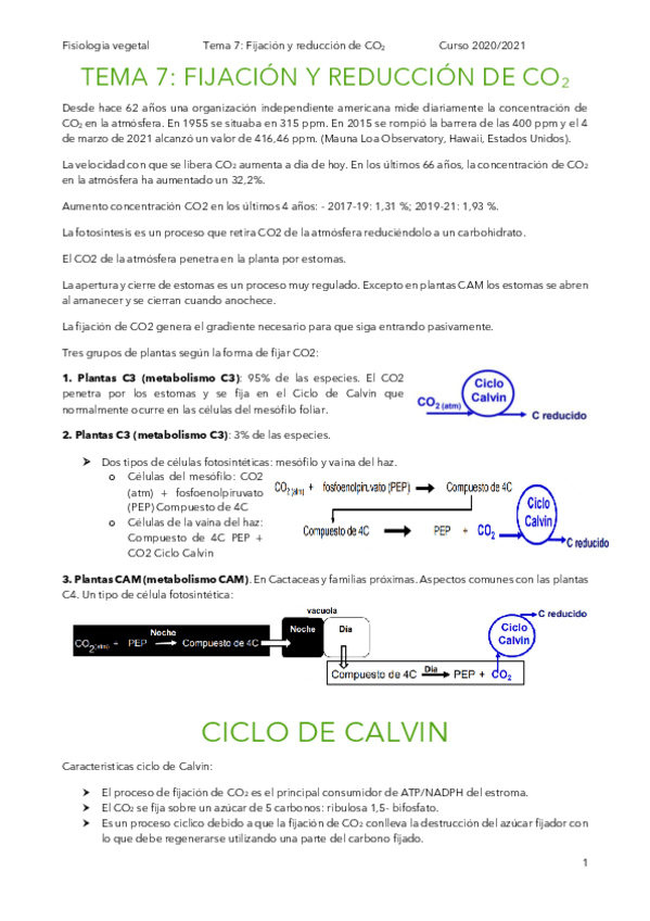 Miniatura del documento t7-fv.pdf