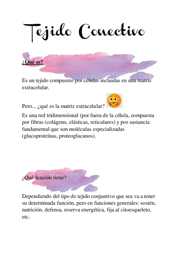 Miniatura del documento resumen-tejido-conectivo.pdf