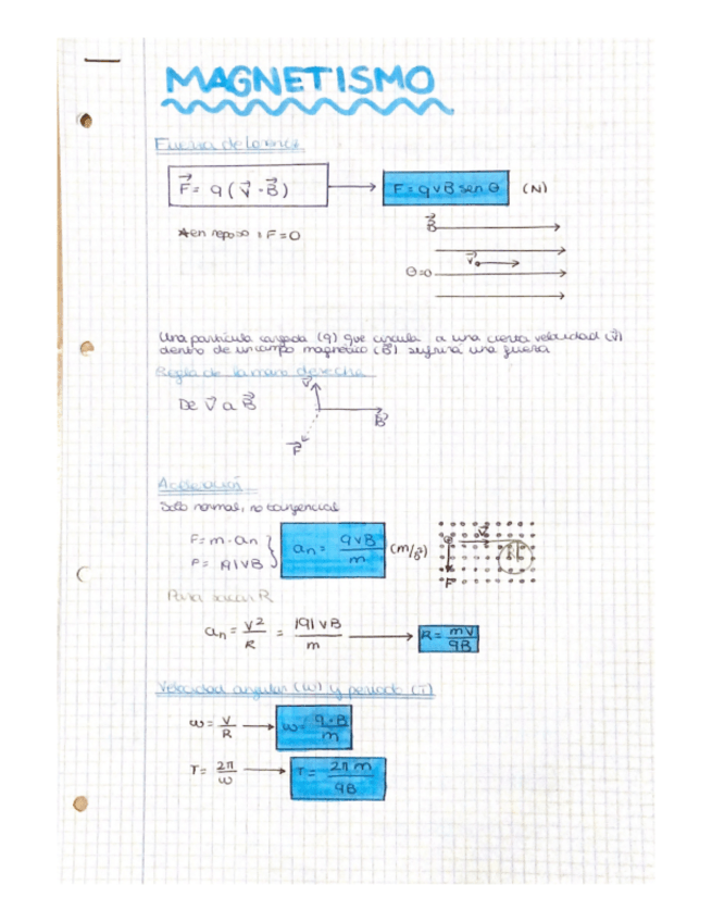 Miniatura del documento Apuntes-magnetismo-.pdf