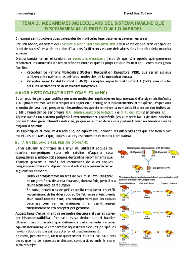 Miniatura del documento TEMA-2.pdf