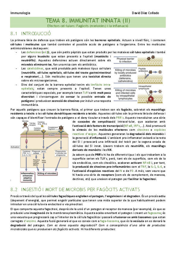 Miniatura del documento TEMA-8.pdf
