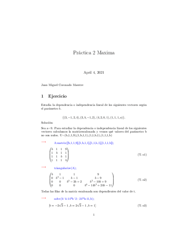 Miniatura del documento practica2maxima.pdf