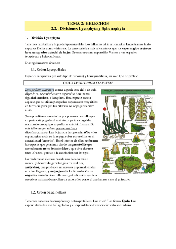 Miniatura del documento TEMA-2.pdf
