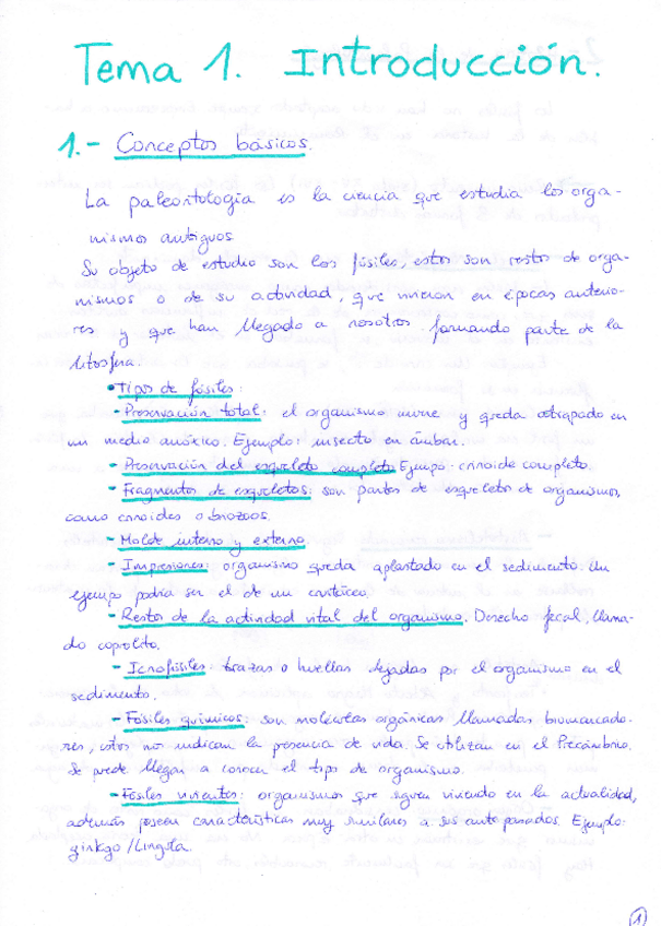 Miniatura del documento Tema 1 Paleontología.pdf