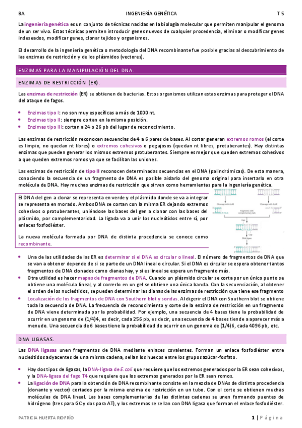 Miniatura del documento T5.pdf