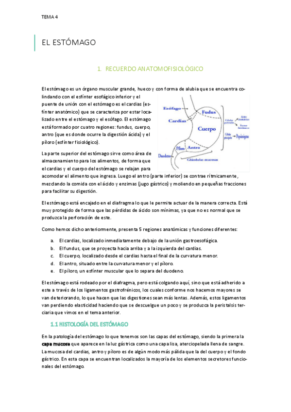 Miniatura del documento TEMA-4.pdf