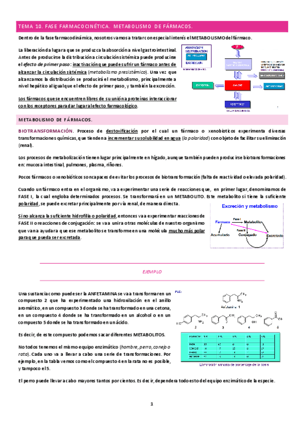 Miniatura del documento Tema-10.pdf