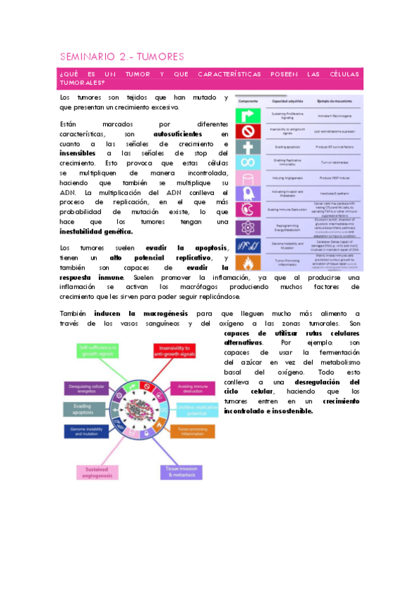 Miniatura del documento SEMINARIO-2-.pdf