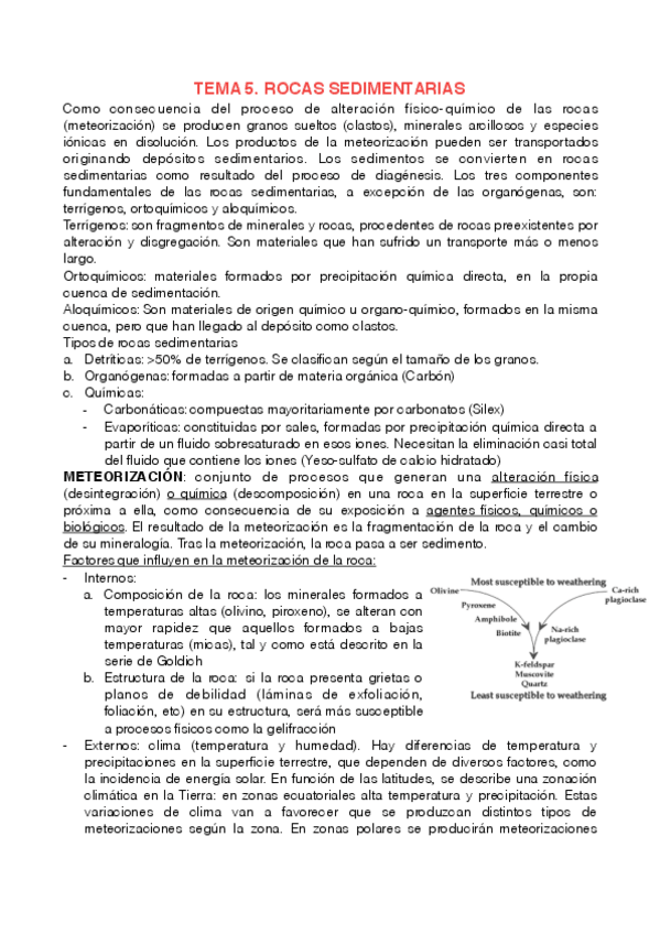 Miniatura del documento TEMA 5. ROCAS EXÓGENAS.pdf