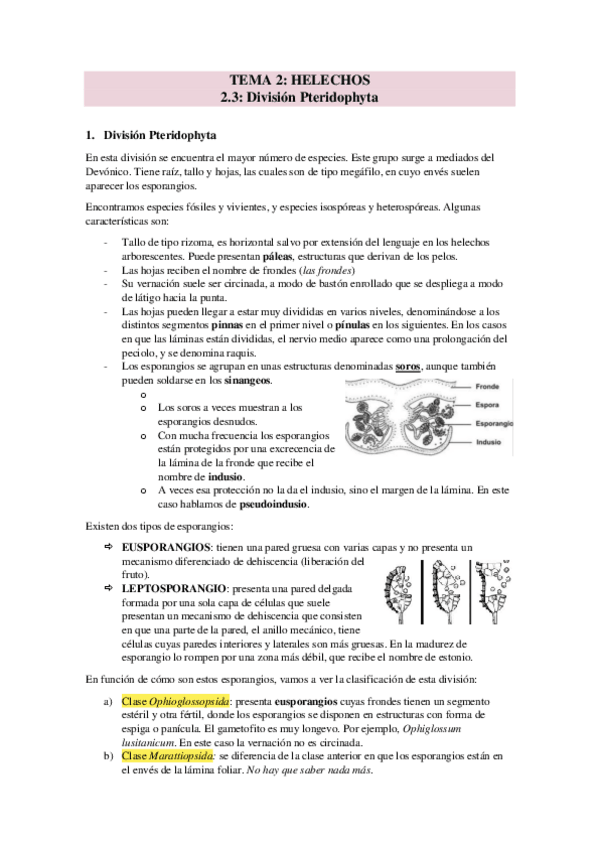 Miniatura del documento TEMA-2.pdf