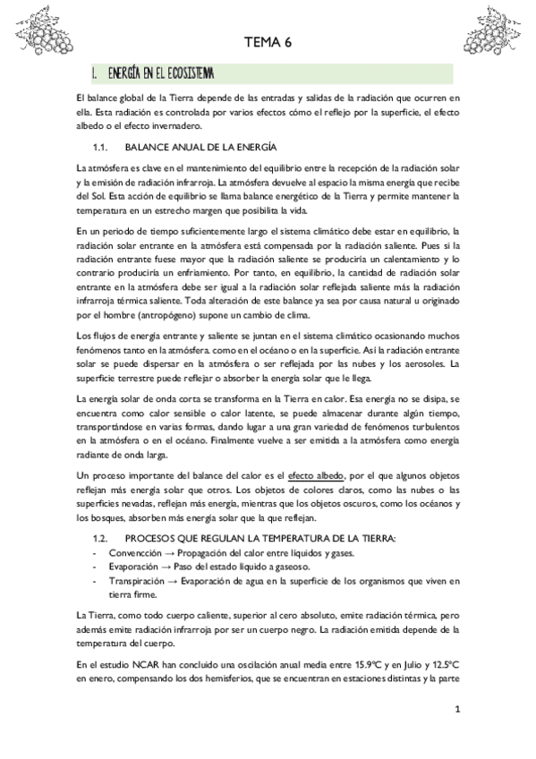 Miniatura del documento T6-ECO.pdf