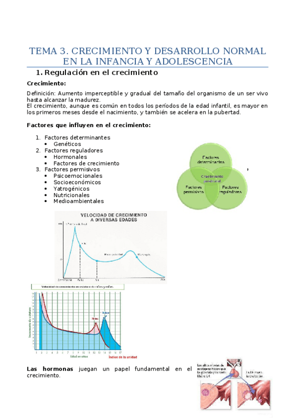 Miniatura del documento Tema-3-RN-redactado.docx
