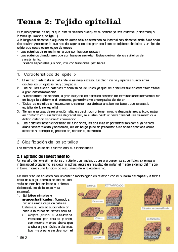 Miniatura del documento apuntes-histo-tema-2.pdf