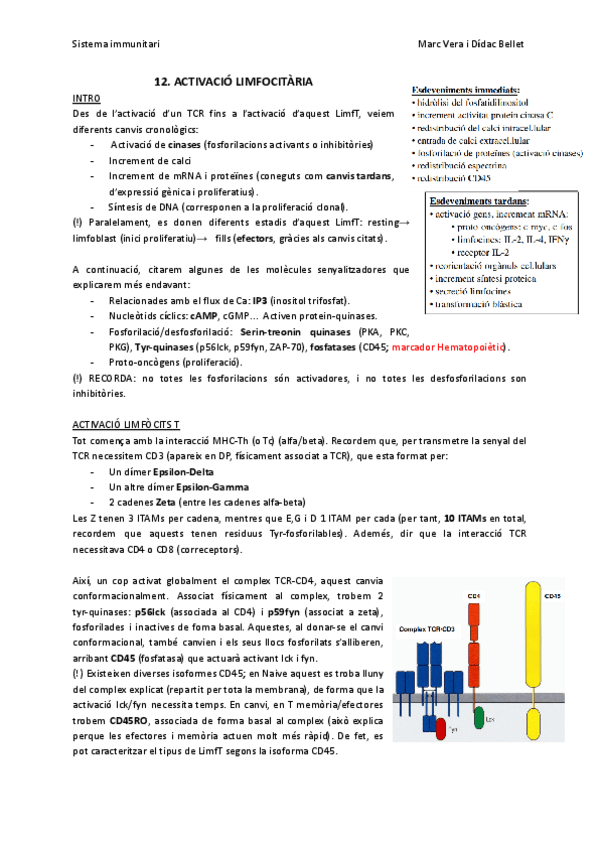 Miniatura del documento SIT12-Activaciolimfocitaria.pdf