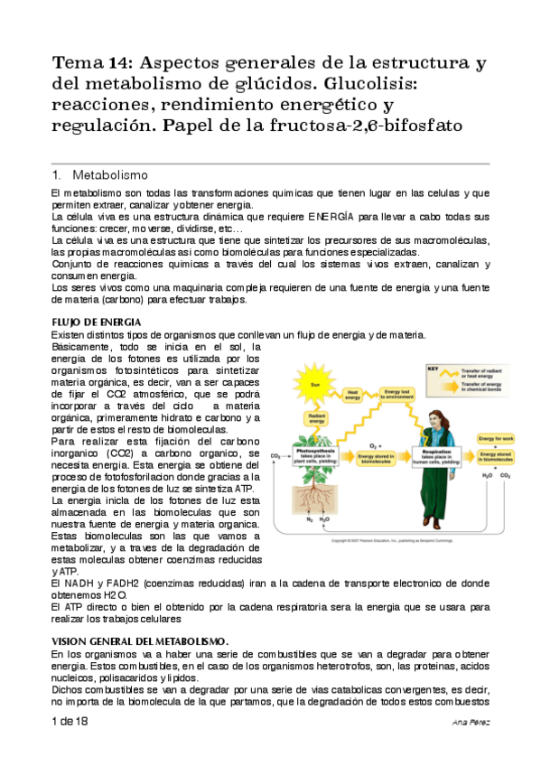 Miniatura del documento apuntes-bioqui-tema-14.pdf
